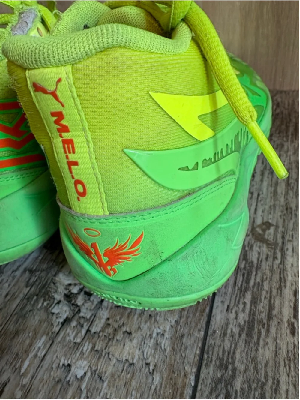 Puma bring bold